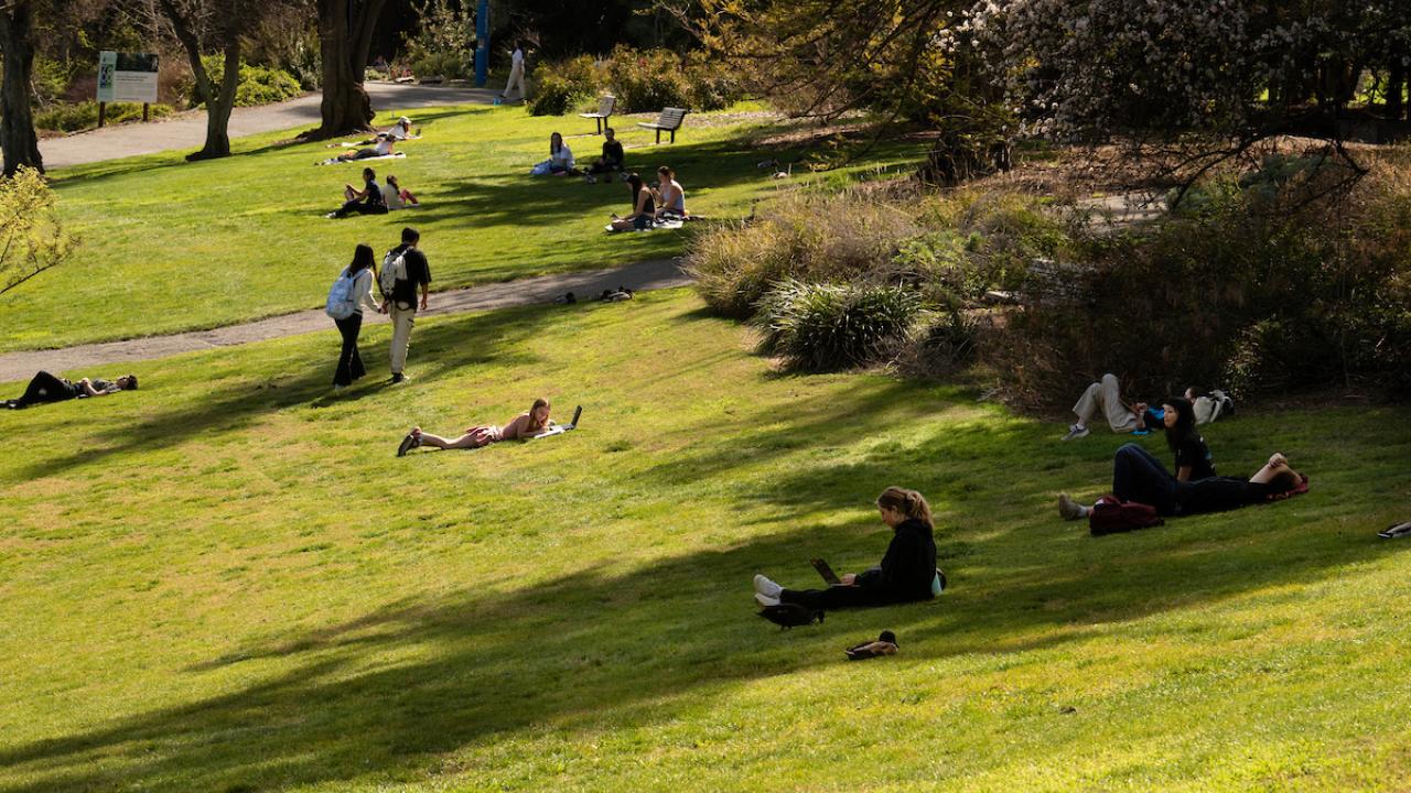 People are sitting and walking through a campus green lawn area.