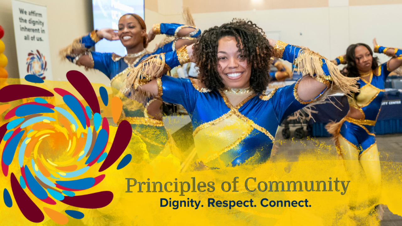 The Principles of Community Celebration with Dignity, Respect and Connect