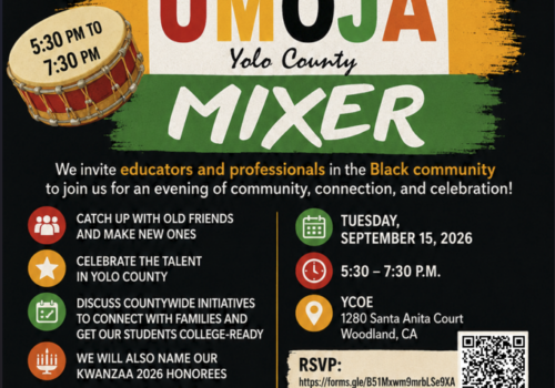 UMOJA Mixer for Educators and Professionals