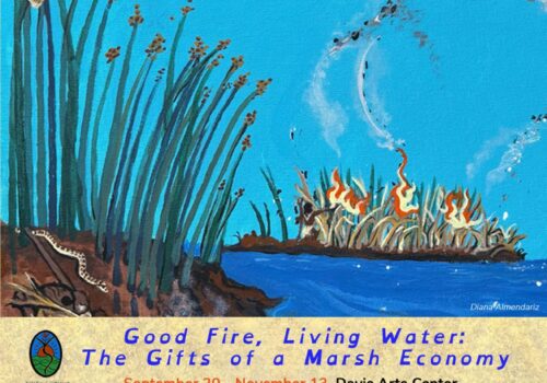 Good Fire, Living Water: The Gifts of a Marsh Economy